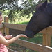 Angela Bass Photo 16
