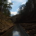 Virginia Head Photo 15