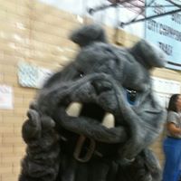 Michelle Elkins Photo 22