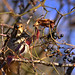 Gerard Winters Photo 9