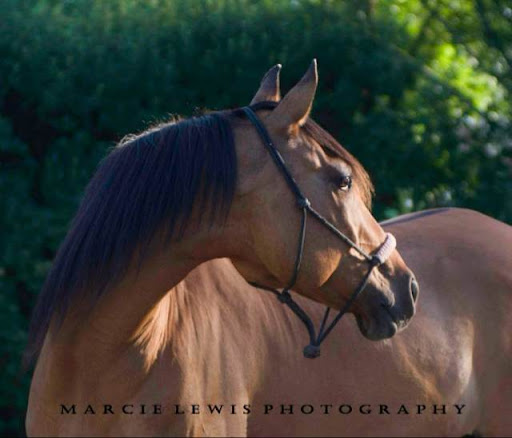 Terri Hartley Photo 19