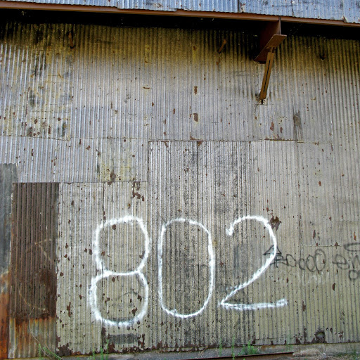 Chris Robinson Photo 33