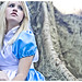 Alice Flanders Photo 12