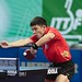 Qi Chen Photo 39
