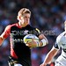 David Shark Photo 9