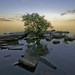 Richard Park Photo 12