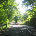 Joy Lane Photo 26