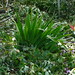 Paula Harmon Photo 7