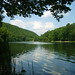 James Trout Photo 31