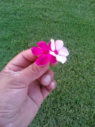 Laura Escamilla Photo 22