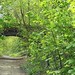 April Wickham Photo 15