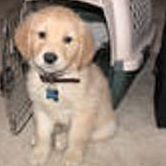 Lindsey Rowley Photo 1