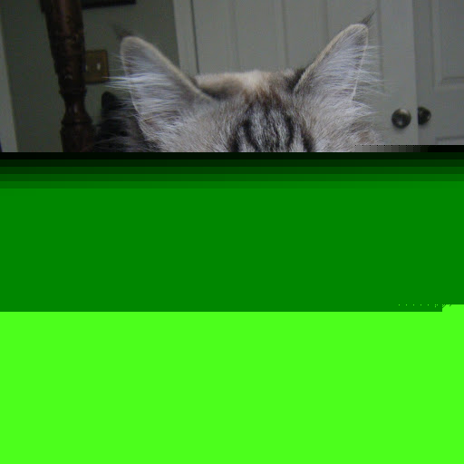 Hope Dempsey Photo 5