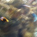 Toby Williamson Photo 9
