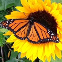 Mary Mccomb Photo 16