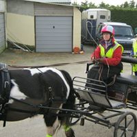 Lynda Chapman Photo 18
