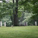 Benjamin Harris Photo 38