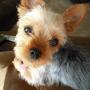 Penny Milligan Photo 12