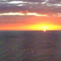 Debra Carver Photo 32