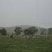 Steven Custer Photo 11