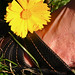 Caroline Clark Photo 35