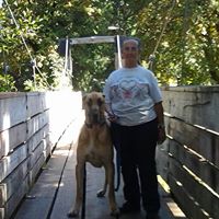 Darlene Gregg Photo 29