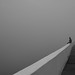 Jose Galicia Photo 35