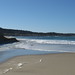 Jan Cannon Photo 6