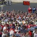 David Leffler Photo 17