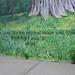 Terese Peterson Photo 12