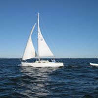 Dan Rowe Photo 31