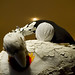 Michael Cantrell Photo 44