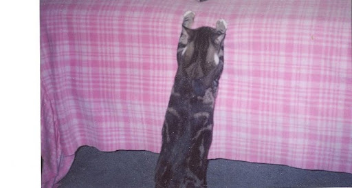 Glenda Galahan Photo 5