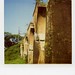Teng Li Photo 11