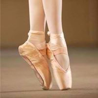Andrea Flores Photo 37
