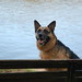 Holly Sutton Photo 43