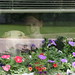 Kathryn Flowers Photo 15