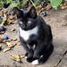 Lisa Herbst Photo 20
