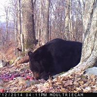 Cory Whittaker Photo 6