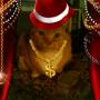 Ginger Mcdonald Photo 17