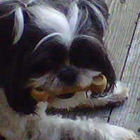 Teresa Shull Photo 11