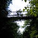Heather Watkins Photo 26