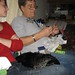 Terry Stack Photo 13
