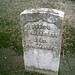 D Anderson Photo 35
