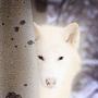 Cheryl Blanchard Photo 19
