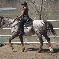 Candace Forbes Photo 13