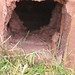 June Shoemaker Photo 12