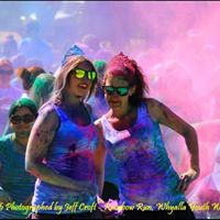 Susan Gilson Photo 16