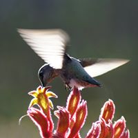 Eric Spillman Photo 17