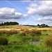 Devon Marsh Photo 10